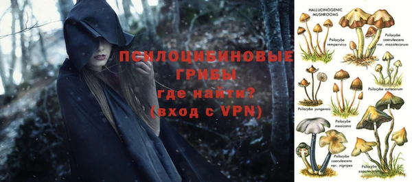 тгк Кукмор