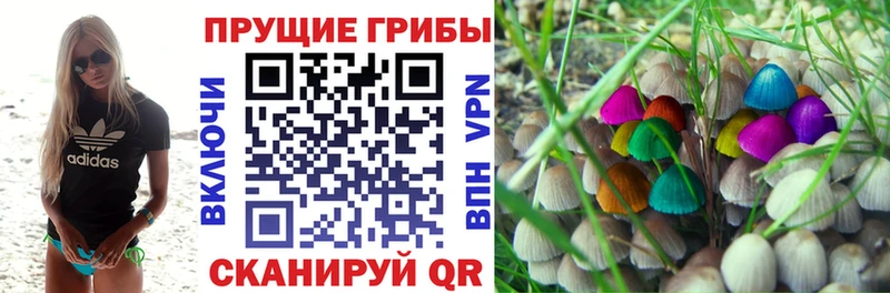 Псилоцибиновые грибы Psilocybine cubensis  Купить где  Жердевка 