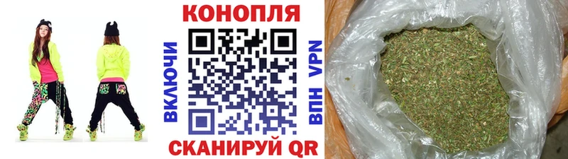 Купить закладки  Жердевка  Бошки марихуана конопля 